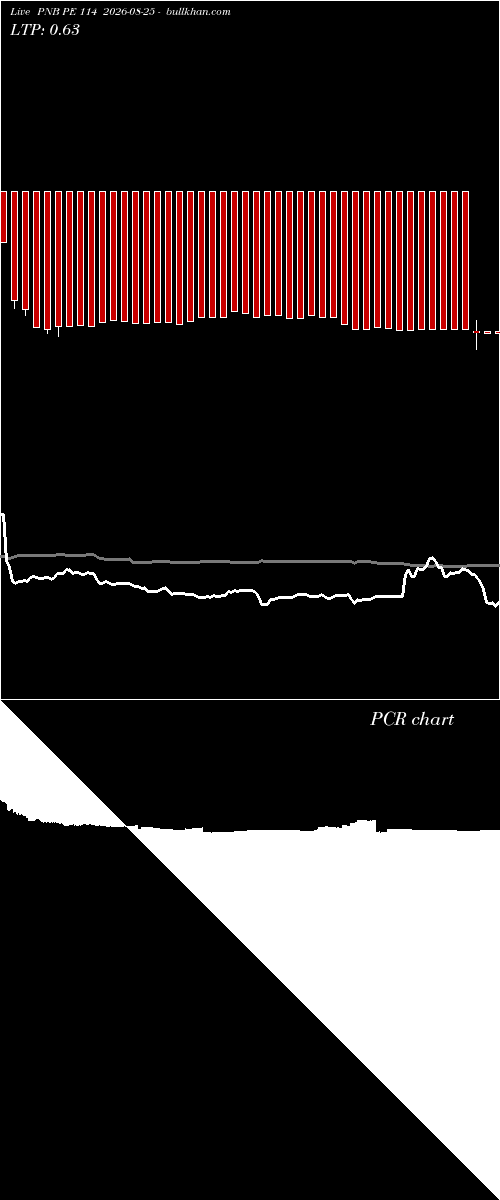  option chart PNB PE 114 2026-08-25 