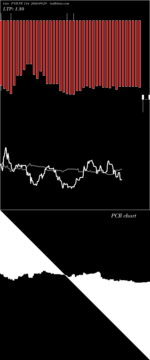  option chart PNB PE 114 2026-09-29 