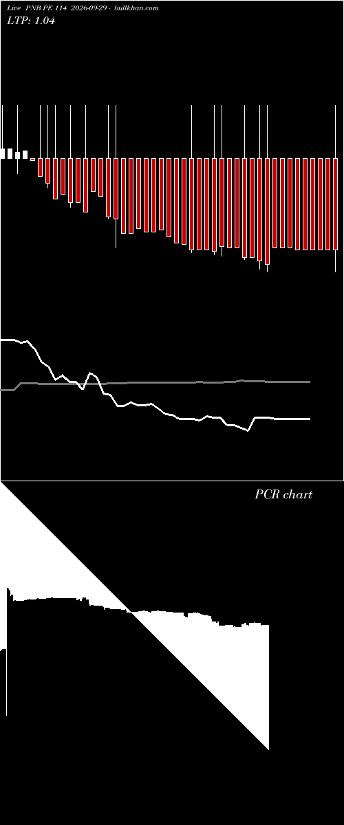  option chart PNB PE 114 2026-09-29 