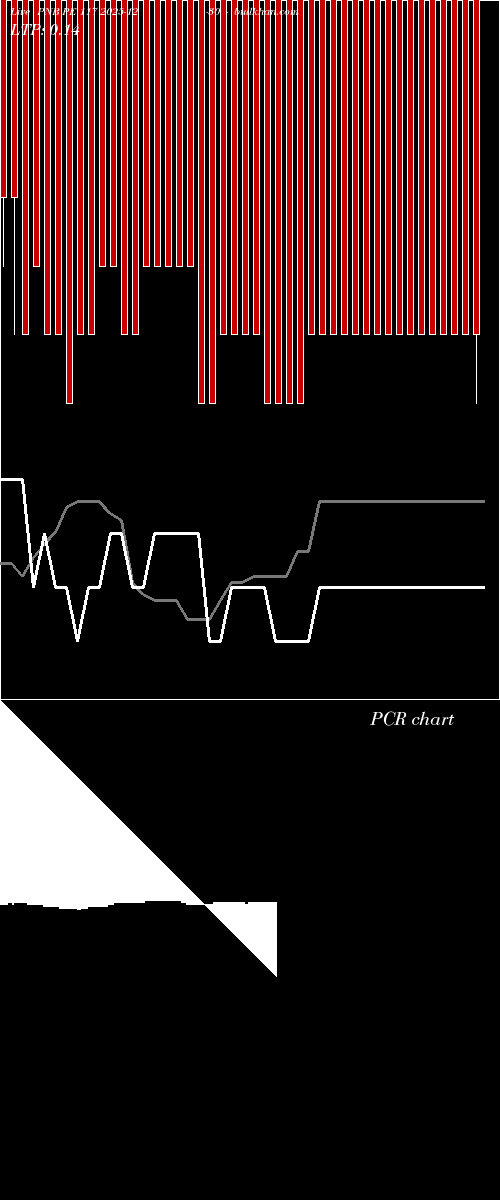  option chart PNB PE 117 2025-12-30 