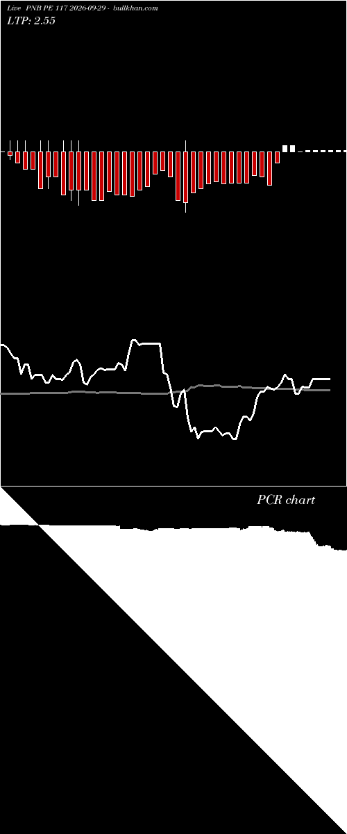  option chart PNB PE 117 2026-09-29 
