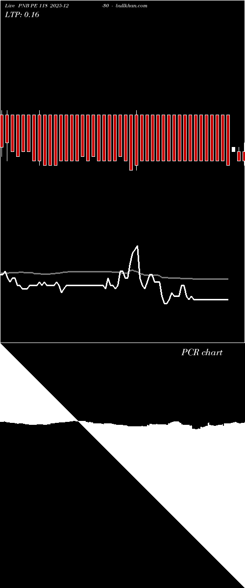  option chart PNB PE 118 2025-12-30 