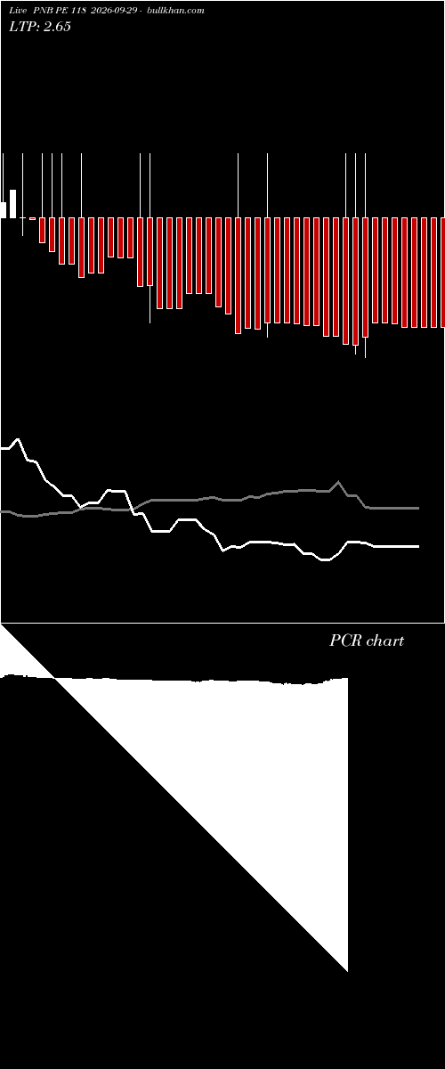  option chart PNB PE 118 2026-09-29 