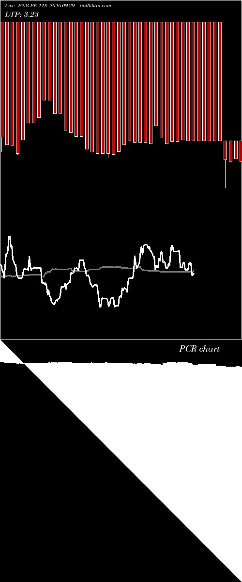  option chart PNB PE 118 2026-09-29 