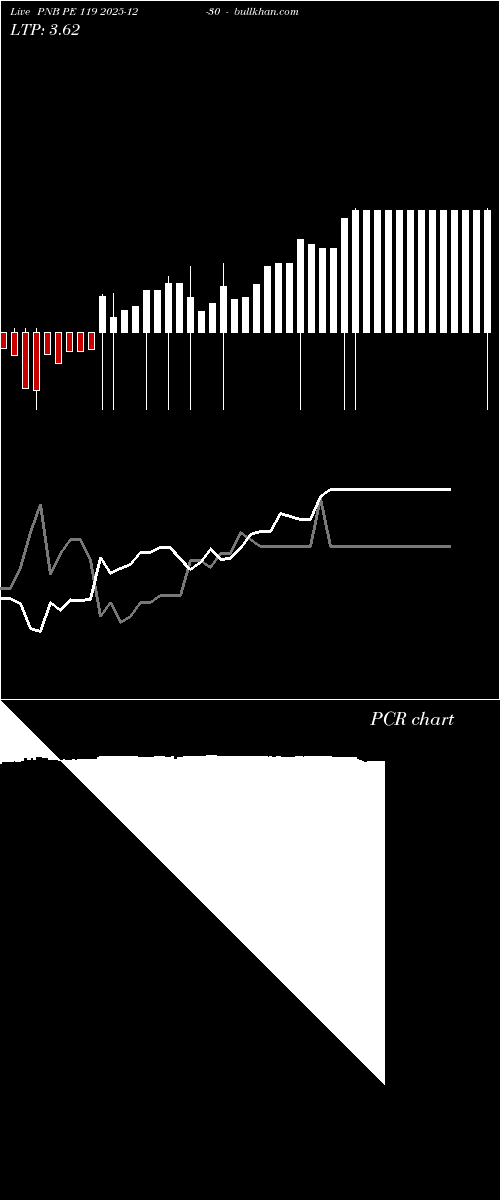  option chart PNB PE 119 2025-12-30 