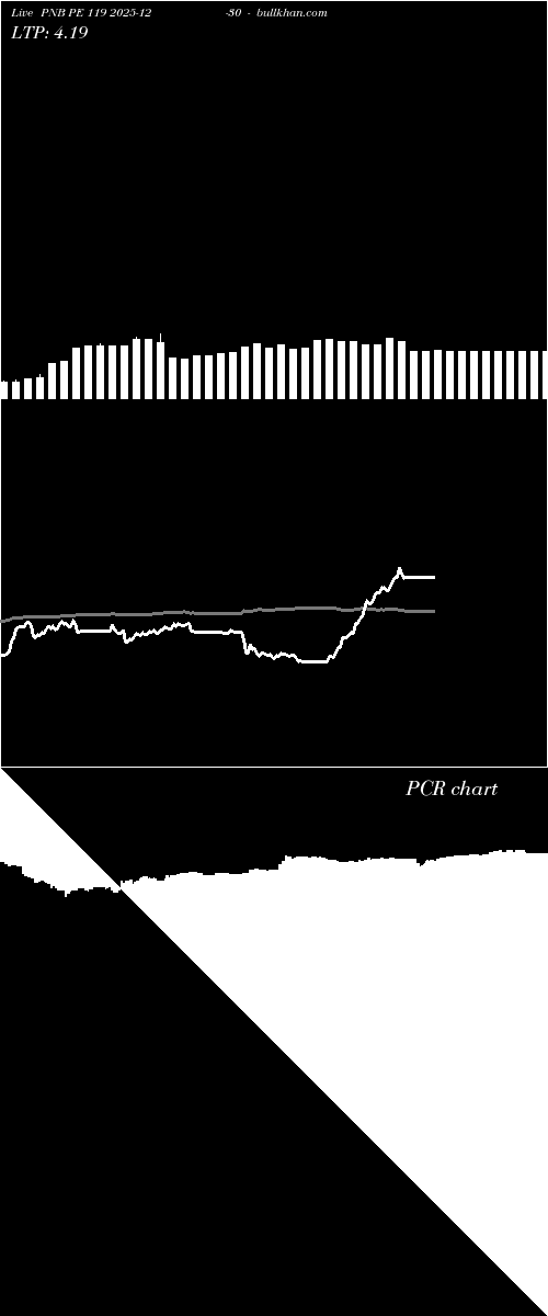  option chart PNB PE 119 2025-12-30 