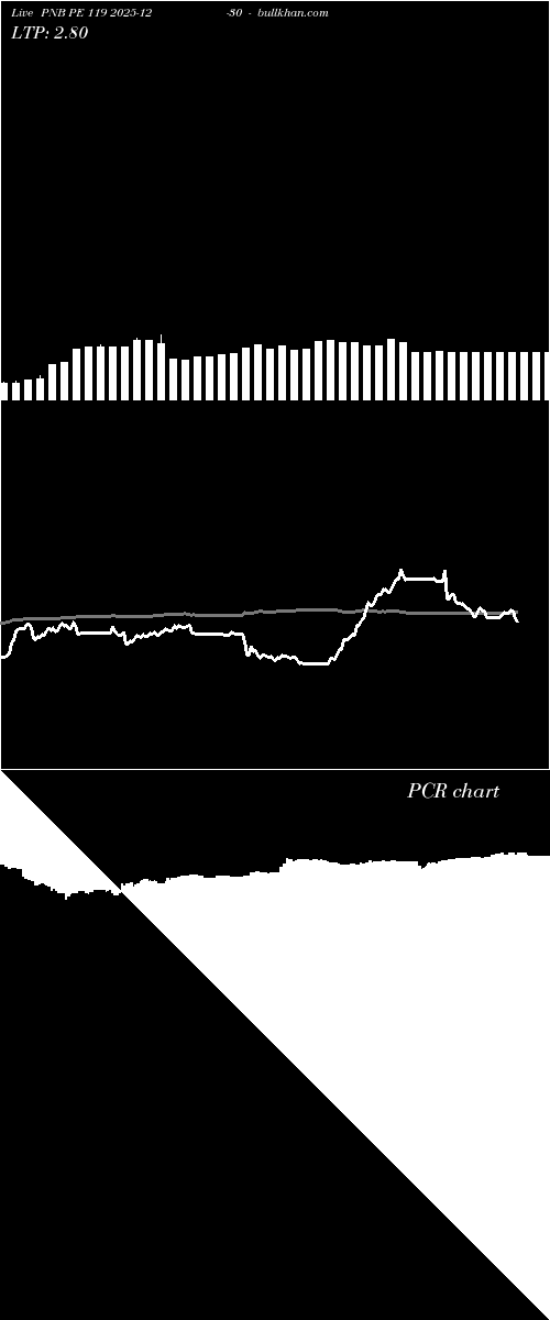  option chart PNB PE 119 2025-12-30 