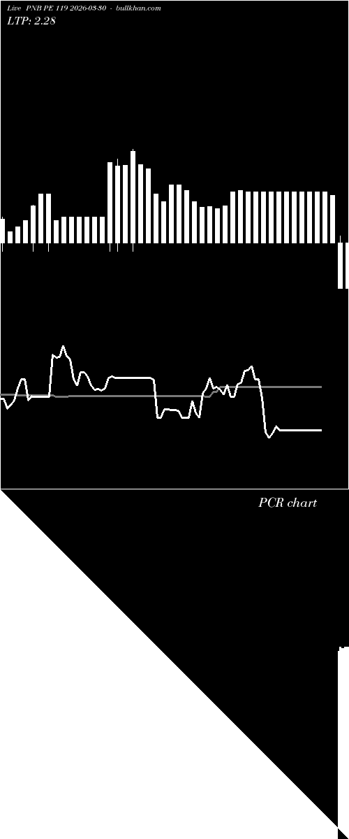  option chart PNB PE 119 2026-03-30 