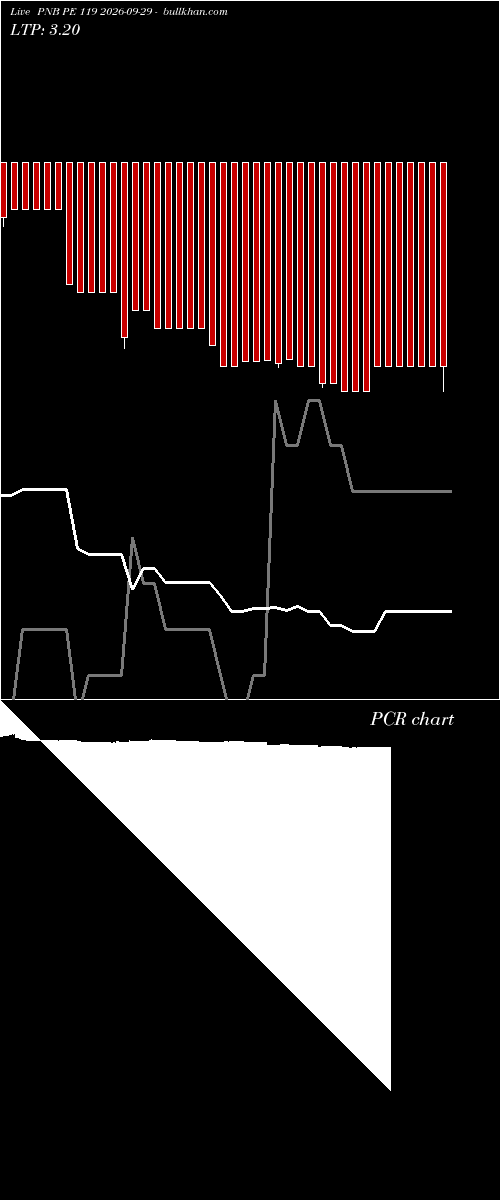  option chart PNB PE 119 2026-09-29 
