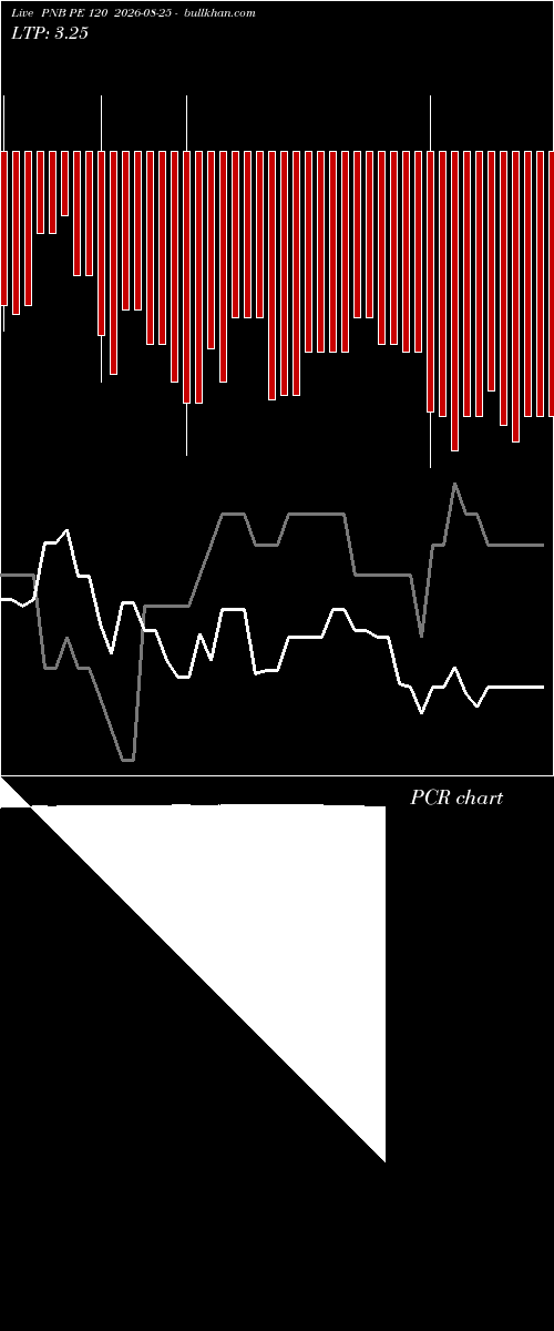  option chart PNB PE 120 2026-08-25 