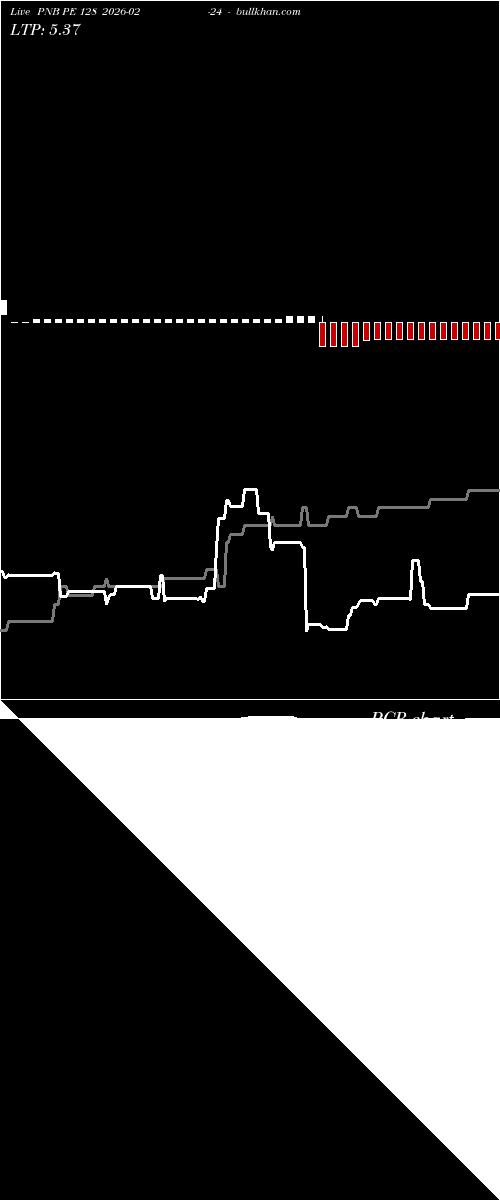  option chart PNB PE 128 2026-02-24 