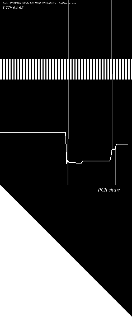  option chart PNBHOUSING CE 1080 2026-09-29 