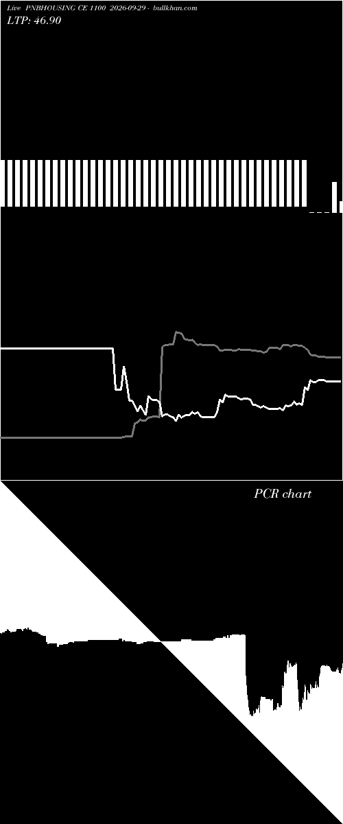  option chart PNBHOUSING CE 1100 2026-09-29 