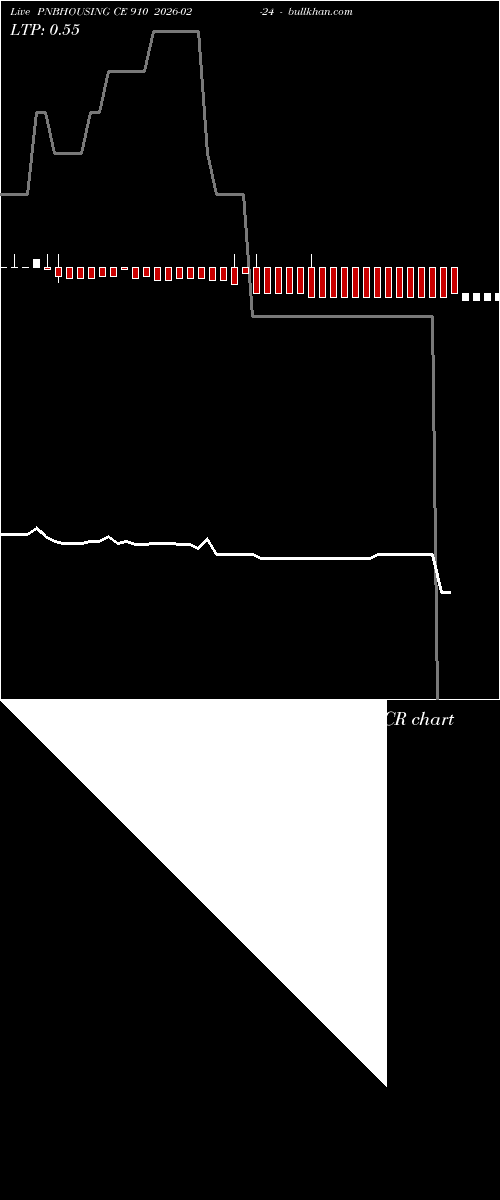  option chart PNBHOUSING CE 910 2026-02-24 