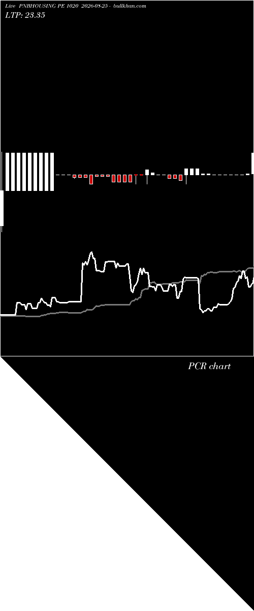  option chart PNBHOUSING PE 1020 2026-08-25 