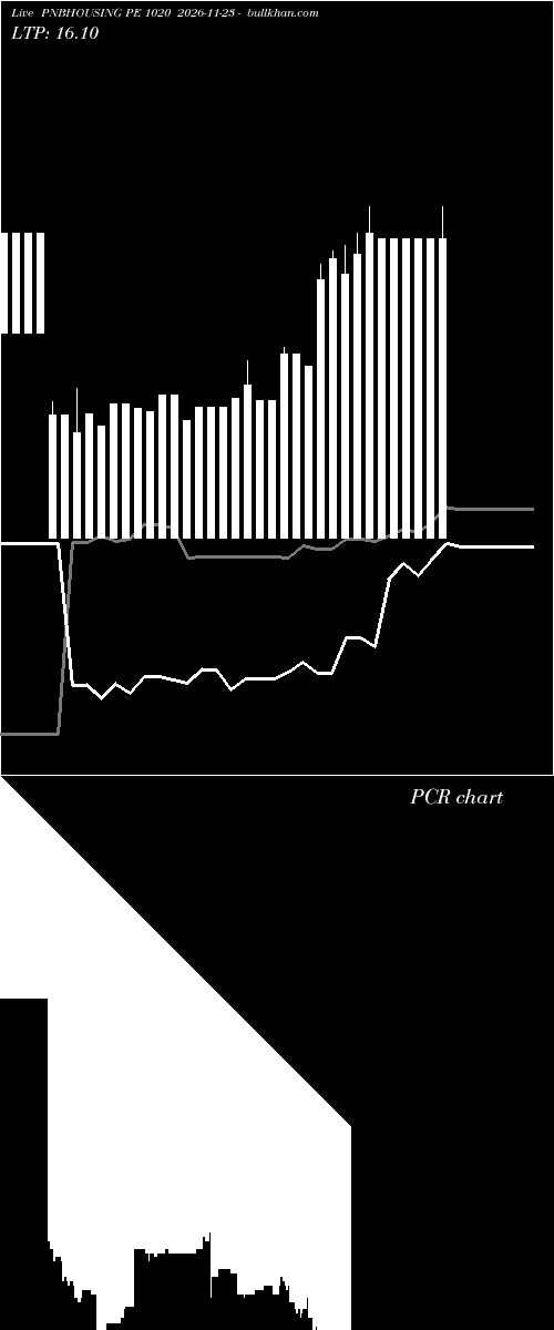  option chart PNBHOUSING PE 1020 2026-11-23 