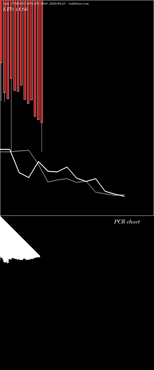 option chart PNBHOUSING PE 1060 2026-08-25 