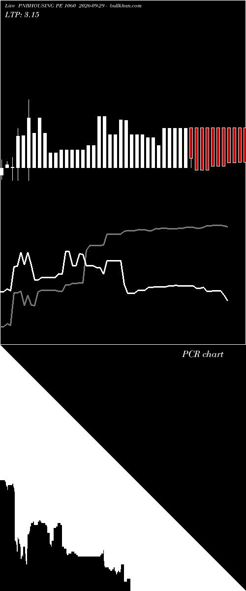  option chart PNBHOUSING PE 1060 2026-09-29 