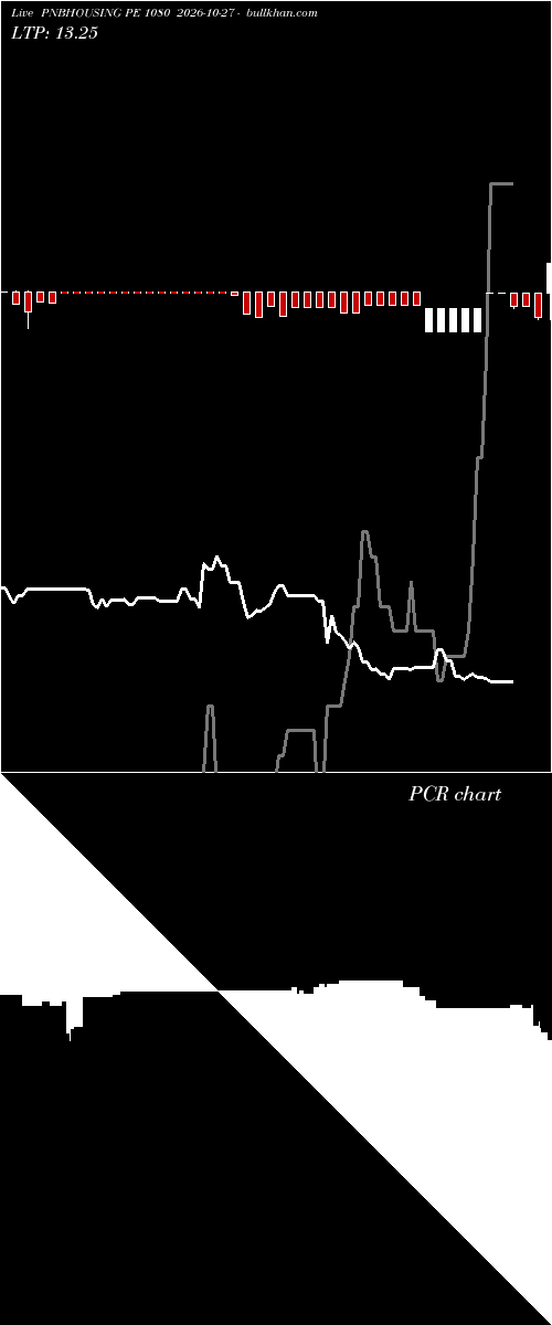  option chart PNBHOUSING PE 1080 2026-10-27 