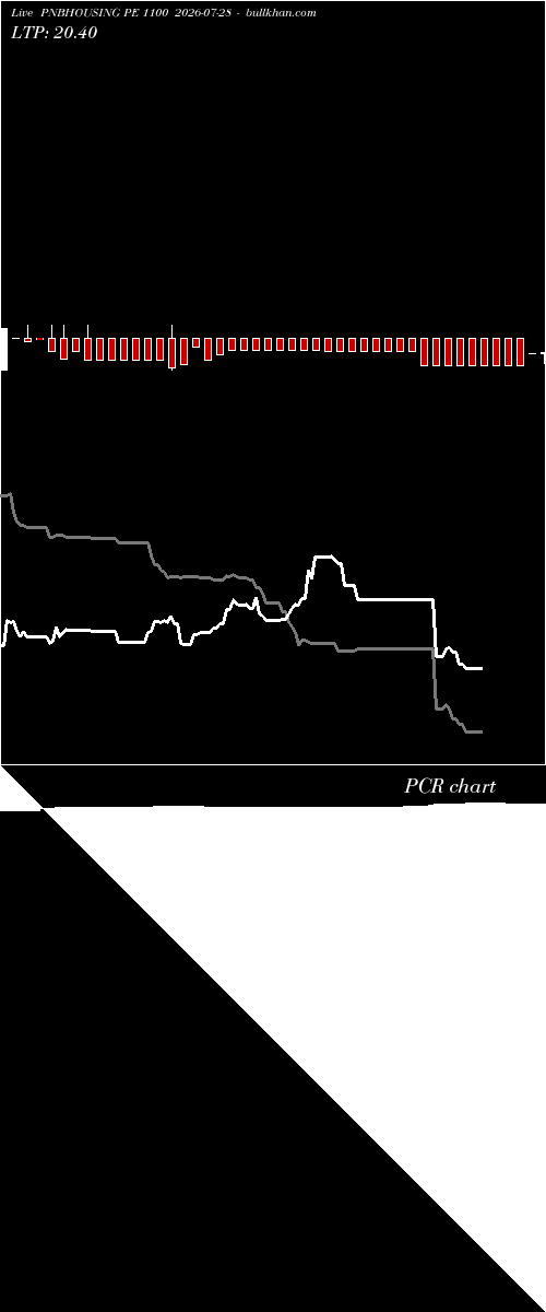  option chart PNBHOUSING PE 1100 2026-07-28 