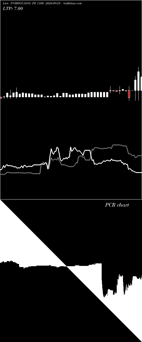  option chart PNBHOUSING PE 1100 2026-09-29 
