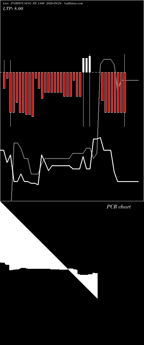  option chart PNBHOUSING PE 1100 2026-09-29 