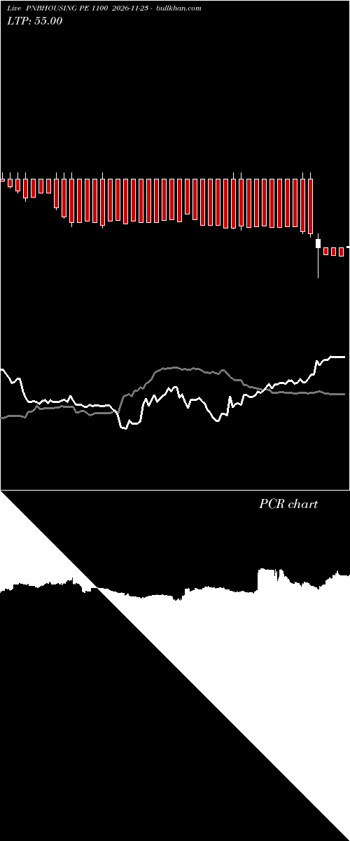  option chart PNBHOUSING PE 1100 2026-11-23 