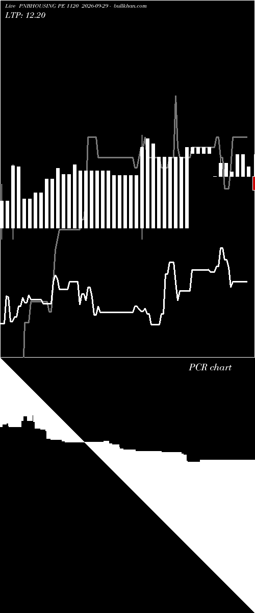  option chart PNBHOUSING PE 1120 2026-09-29 