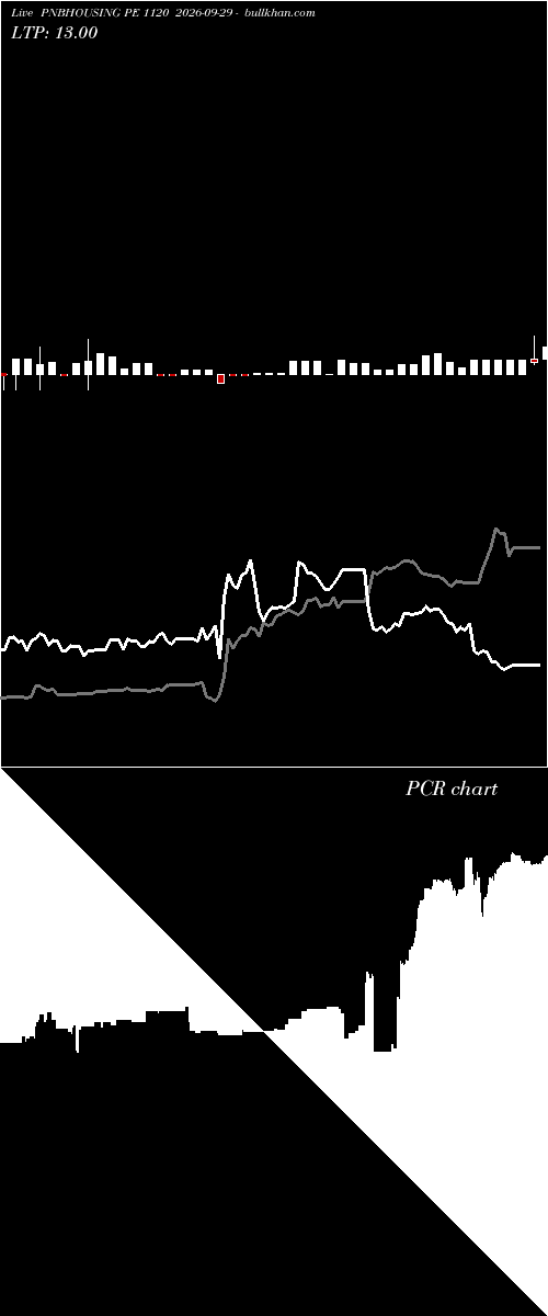  option chart PNBHOUSING PE 1120 2026-09-29 