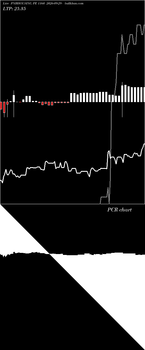  option chart PNBHOUSING PE 1160 2026-09-29 