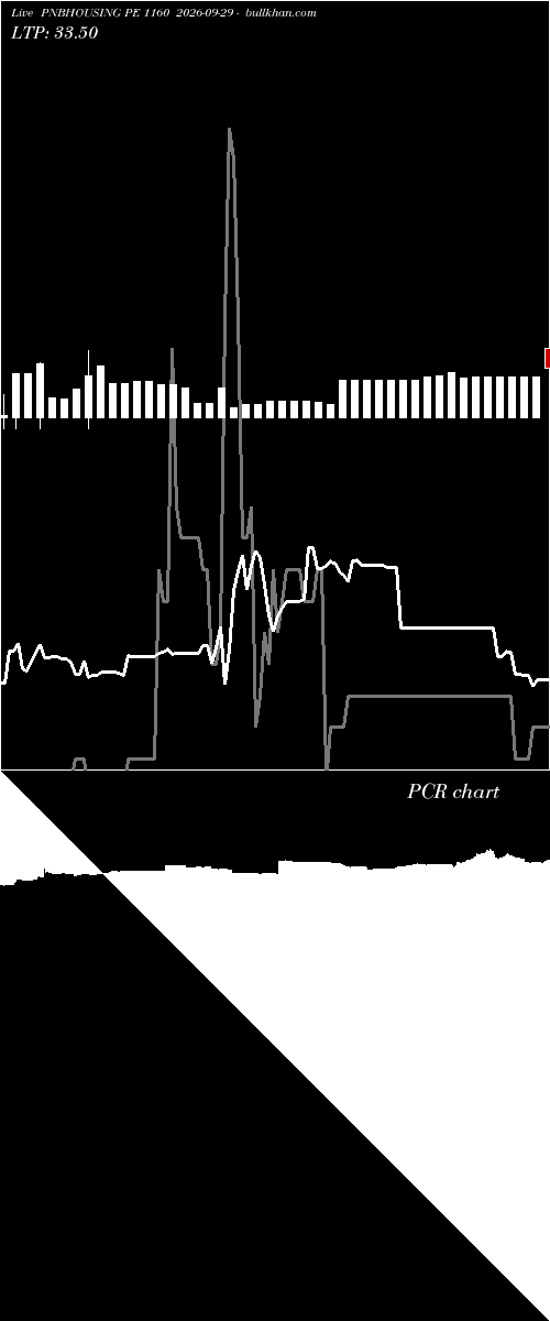  option chart PNBHOUSING PE 1160 2026-09-29 