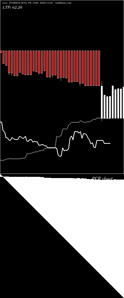  option chart PNBHOUSING PE 1160 2026-11-23 