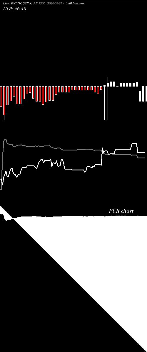  option chart PNBHOUSING PE 1200 2026-09-29 