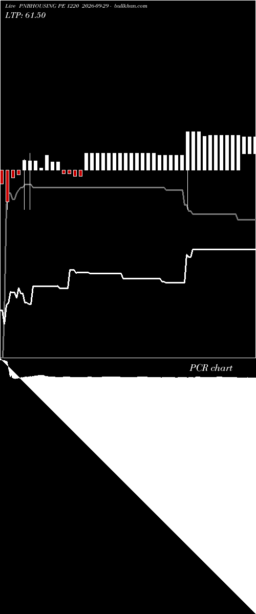  option chart PNBHOUSING PE 1220 2026-09-29 