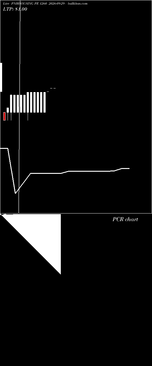  option chart PNBHOUSING PE 1260 2026-09-29 