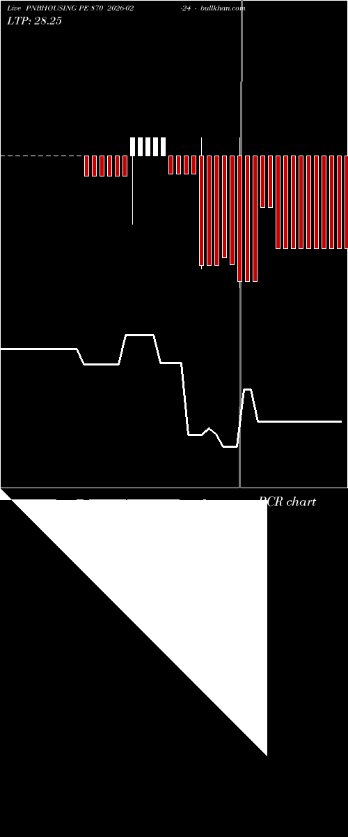  option chart PNBHOUSING PE 870 2026-02-24 