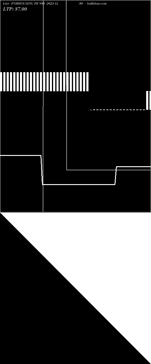  option chart PNBHOUSING PE 980 2025-12-30 