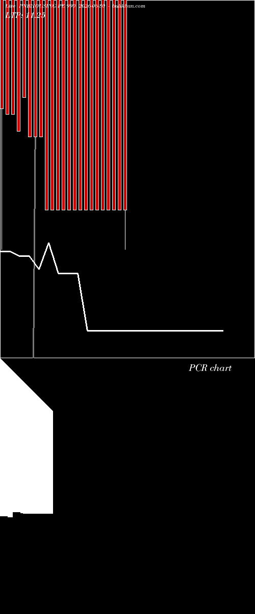  option chart PNBHOUSING PE 990 2026-06-30 