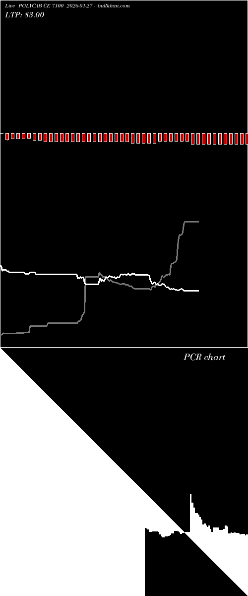  option chart POLYCAB CE 7100 2026-01-27 