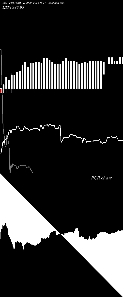  option chart POLYCAB CE 7900 2026-10-27 