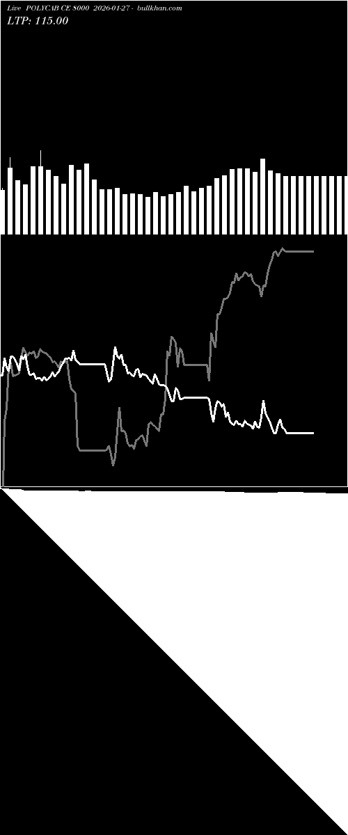  option chart POLYCAB CE 8000 2026-01-27 