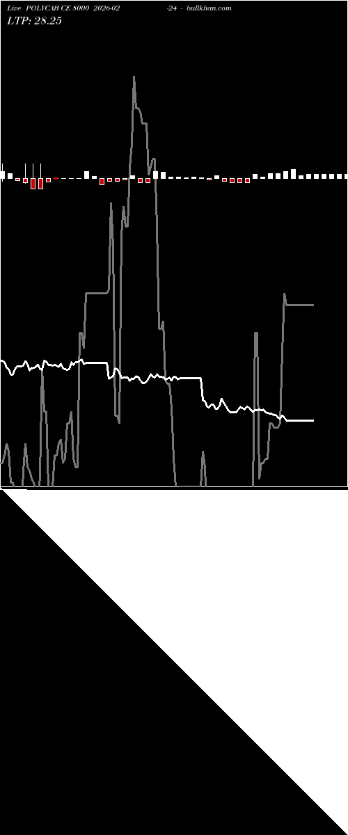  option chart POLYCAB CE 8000 2026-02-24 