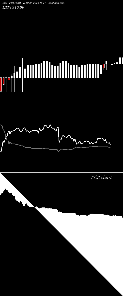  option chart POLYCAB CE 8000 2026-10-27 