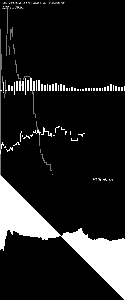  option chart POLYCAB CE 8100 2026-09-29 