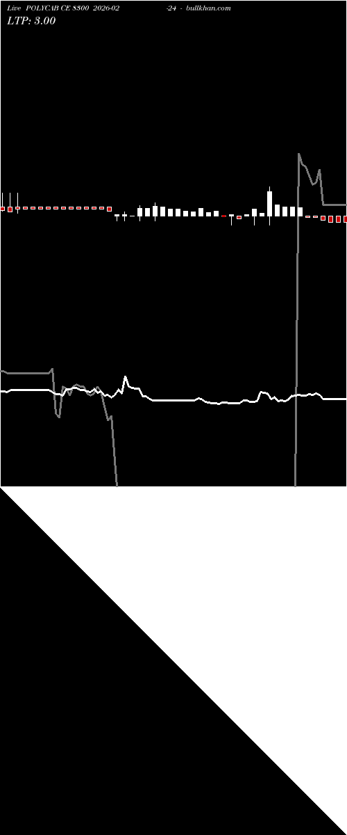  option chart POLYCAB CE 8300 2026-02-24 