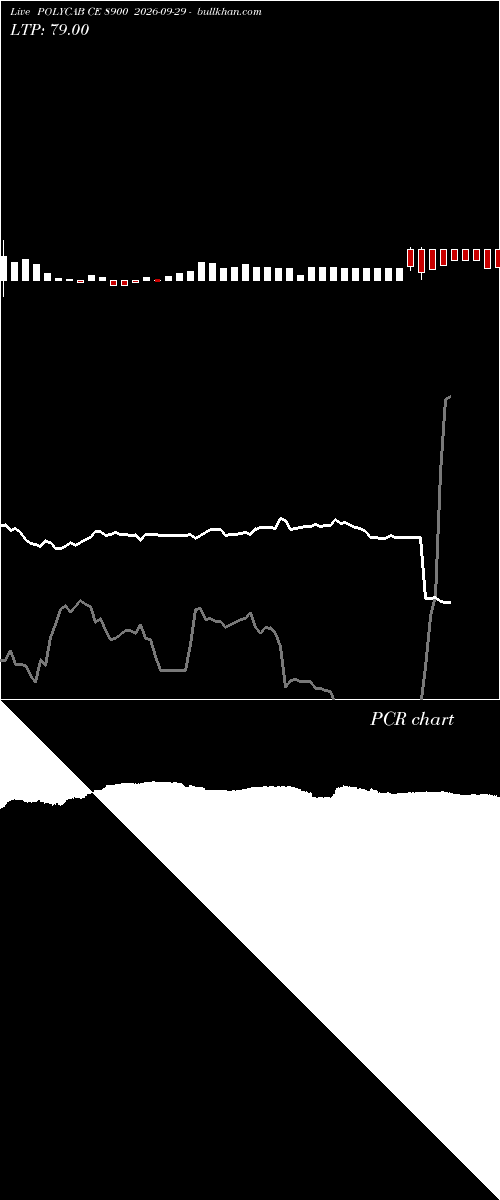  option chart POLYCAB CE 8900 2026-09-29 