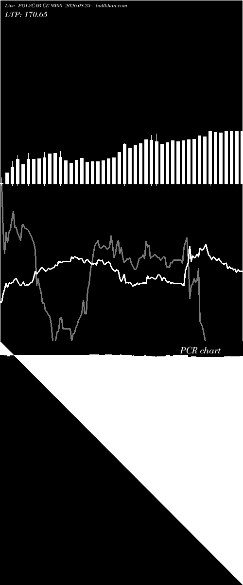  option chart POLYCAB CE 9300 2026-08-25 