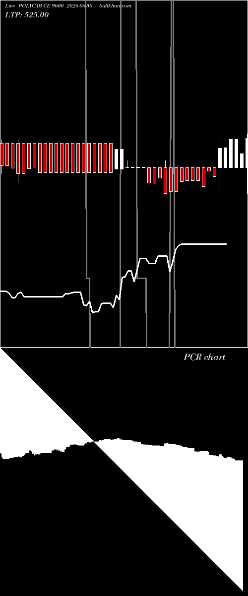  option chart POLYCAB CE 9600 2026-06-30 