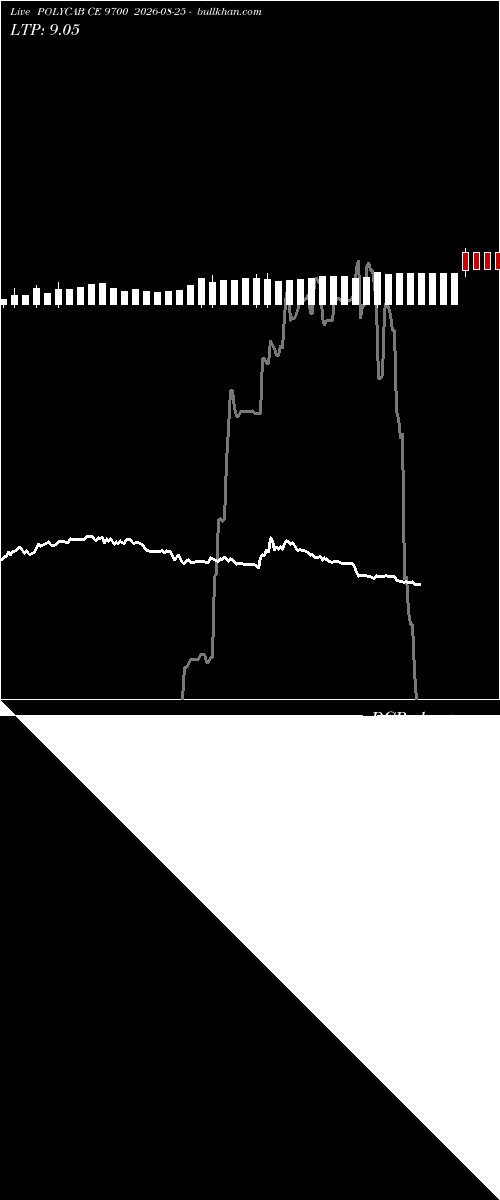  option chart POLYCAB CE 9700 2026-08-25 