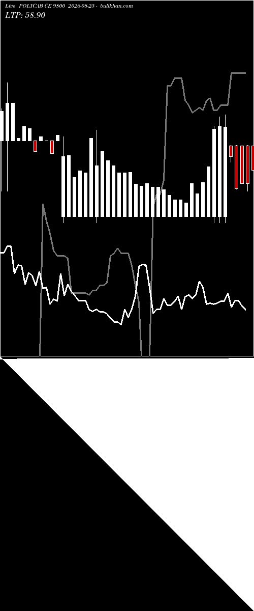 option chart POLYCAB CE 9800 2026-08-25 